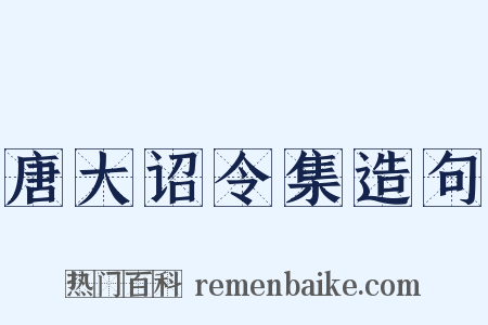 唐大诏令集造句是什么意思的图片